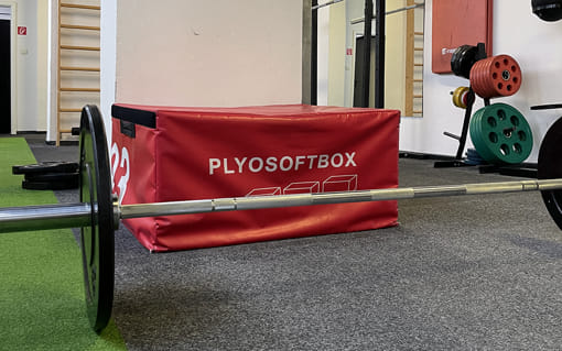 Blogový článek od osobního trenéra 135