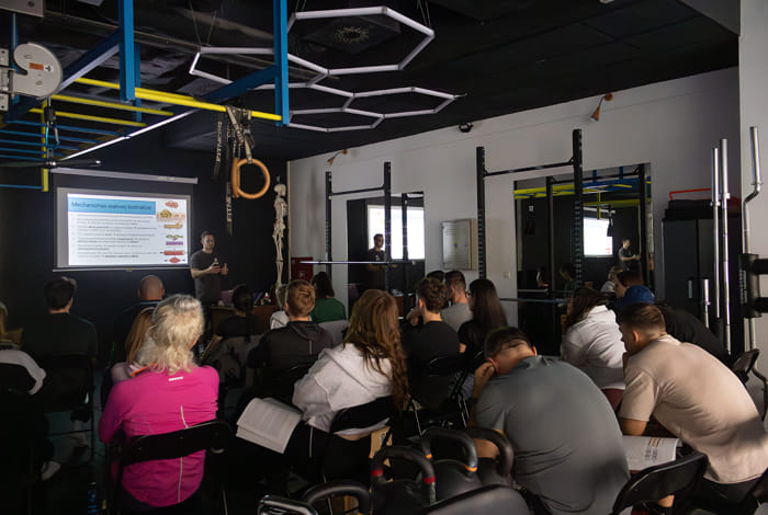 interní školení a workshop EfectFit